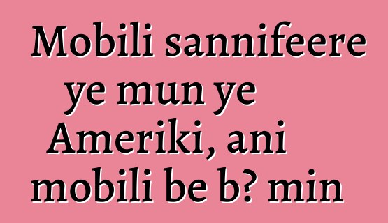 Mobili sannifeere ye mun ye Ameriki, ani mobili bɛ bɔ min