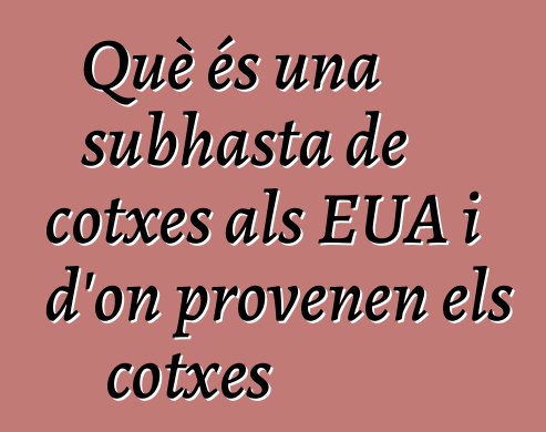 Què és una subhasta de cotxes als EUA i d'on provenen els cotxes