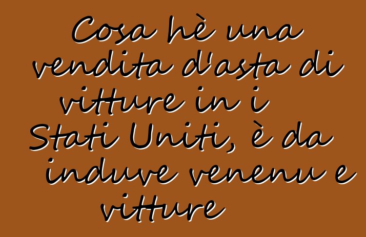 Cosa hè una vendita d'asta di vitture in i Stati Uniti, è da induve venenu e vitture