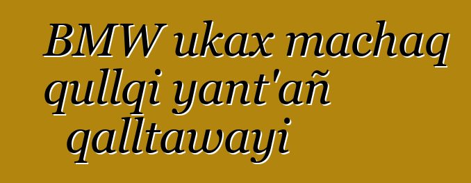 BMW ukax machaq qullqi yant’añ qalltawayi