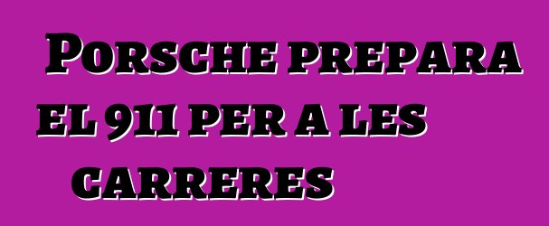 Porsche prepara el 911 per a les carreres