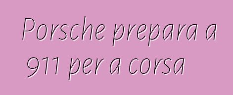 Porsche prepara a 911 per a corsa