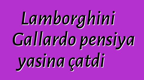 Lamborghini Gallardo pensiya yaşına çatdı