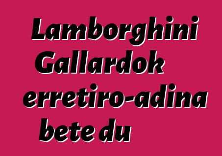 Lamborghini Gallardok erretiro-adina bete du