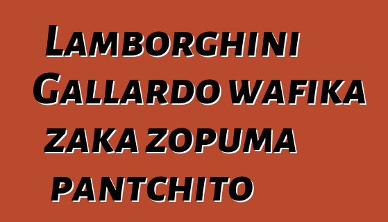 Lamborghini Gallardo wafika zaka zopuma pantchito