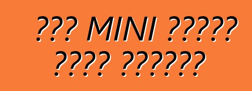 ትንሿ MINI መስቀለኛ መንገድ ተቀበለችው