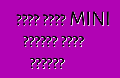 تلقى كروس MINI الصغير نسخة مشحونة