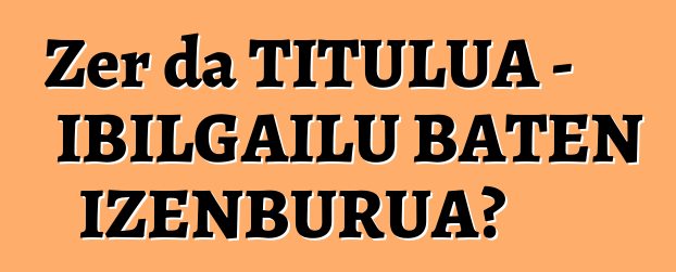 Zer da TITULUA - IBILGAILU BATEN IZENBURUA?