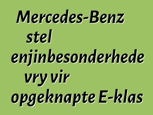 Mercedes-Benz stel enjinbesonderhede vry vir opgeknapte E-klas