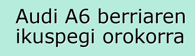 Audi A6 berriaren ikuspegi orokorra