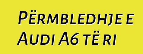Përmbledhje e Audi A6 të ri