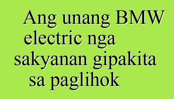 Ang unang BMW electric nga sakyanan gipakita sa paglihok