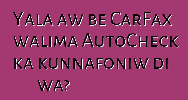Yala aw bɛ CarFax walima AutoCheck ka kunnafoniw di wa?