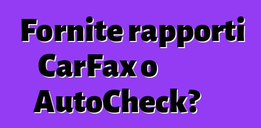 Fornite rapporti CarFax o AutoCheck?