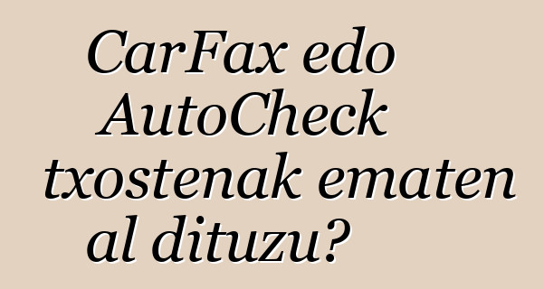 CarFax edo AutoCheck txostenak ematen al dituzu?