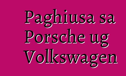 Paghiusa sa Porsche ug Volkswagen