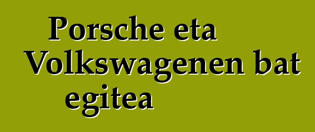 Porsche eta Volkswagenen bat egitea