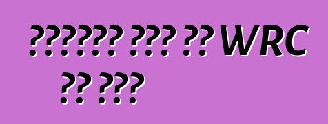 ቮልስዋገን ለፖሎ አር WRC ልዩ እትም