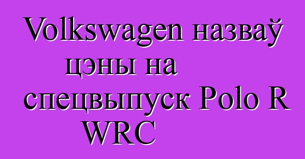 Volkswagen назваў цэны на спецвыпуск Polo R WRC