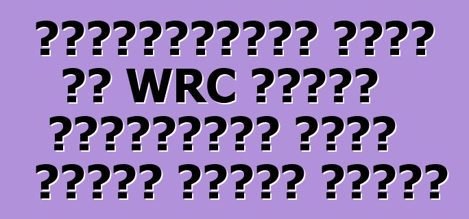 ভক্সওয়াগেন পোলো আর WRC বিশেষ সংস্করণের জন্য মূল্য ঘোষণা করেছে