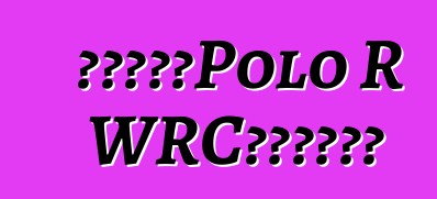 大眾公佈了Polo R WRC特別版的價格