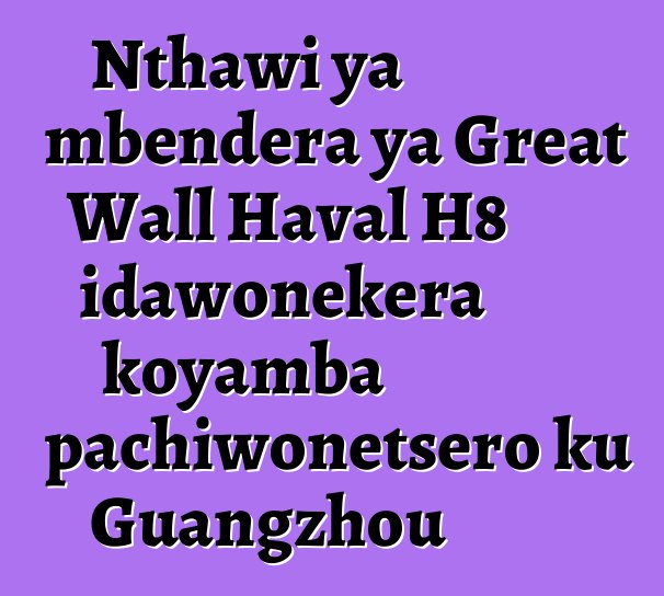 Nthawi ya mbendera ya Great Wall Haval H8 idawonekera koyamba pachiwonetsero ku Guangzhou