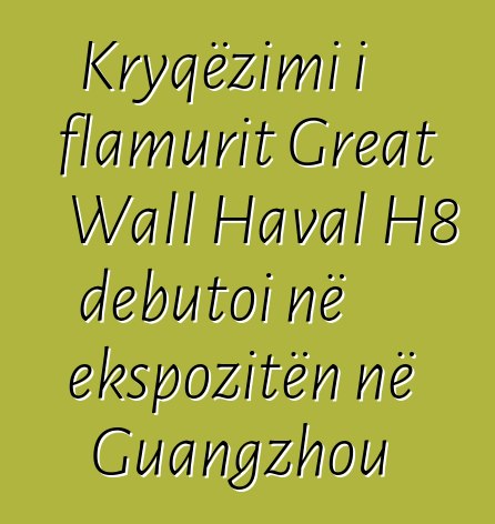 Kryqëzimi i flamurit Great Wall Haval H8 debutoi në ekspozitën në Guangzhou