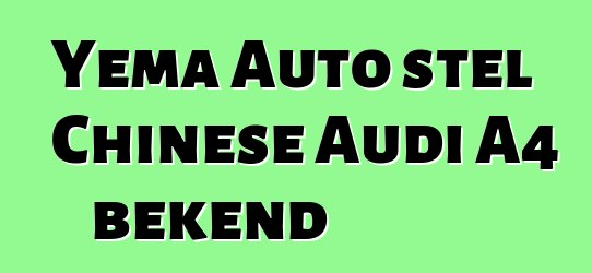 Yema Auto stel Chinese Audi A4 bekend