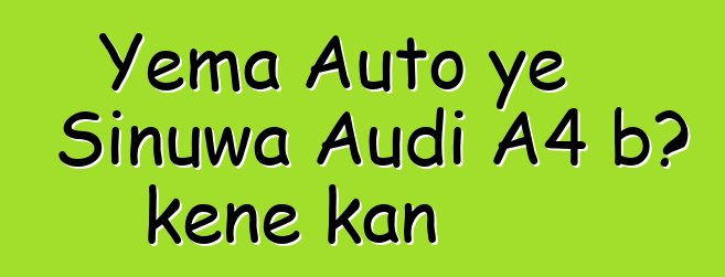 Yema Auto ye Sinuwa Audi A4 bɔ kɛnɛ kan
