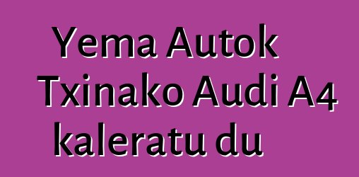 Yema Autok Txinako Audi A4 kaleratu du