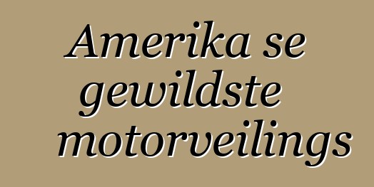 Amerika se gewildste motorveilings