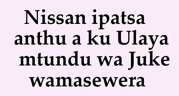 Nissan ipatsa anthu a ku Ulaya mtundu wa Juke wamasewera