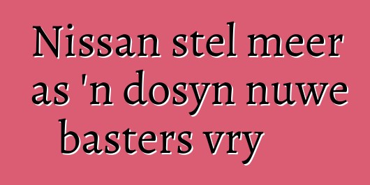 Nissan stel meer as 'n dosyn nuwe basters vry