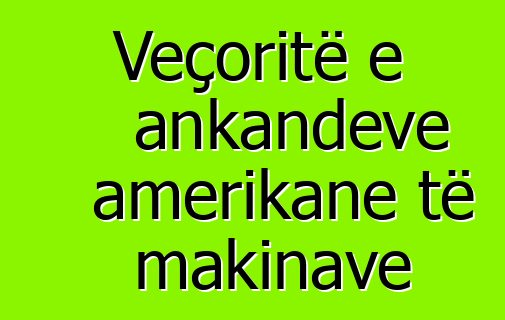 Veçoritë e ankandeve amerikane të makinave