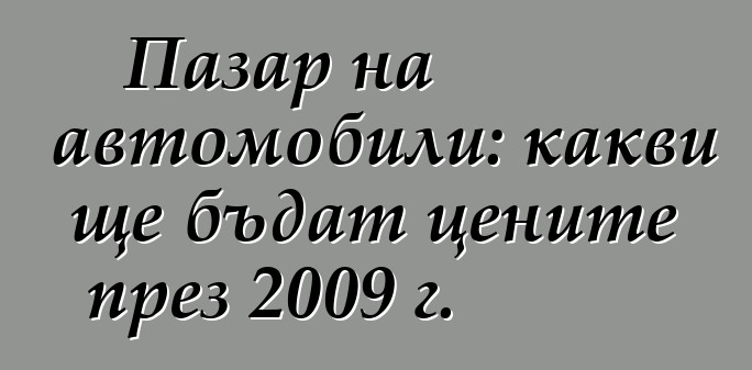 Пазар на автомобили: какви ще бъдат цените през 2009 г.