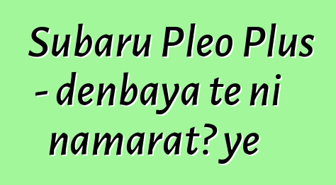 Subaru Pleo Plus - denbaya tɛ ni namaratɔ ye