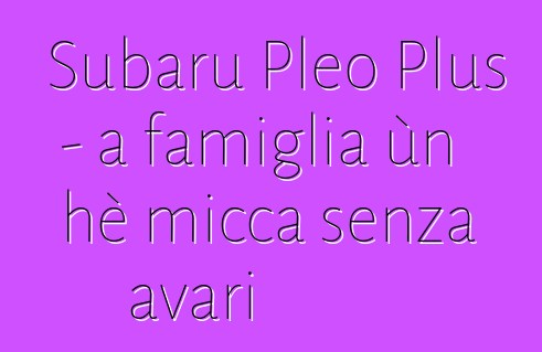 Subaru Pleo Plus - a famiglia ùn hè micca senza avari