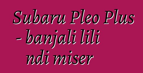 Subaru Pleo Plus - banjali lili ndi miser