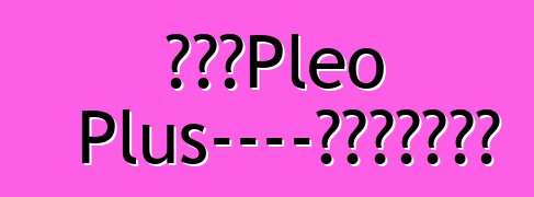 斯巴鲁Pleo Plus——家里不缺守财奴