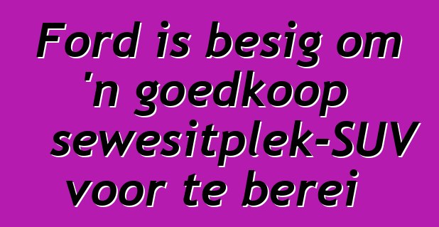 Ford is besig om 'n goedkoop sewesitplek-SUV voor te berei