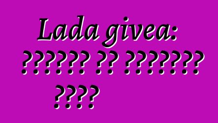 Lada givea: ግምገማዎች እና የተሽከርካሪ መግለጫ