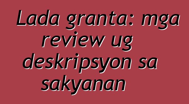 Lada granta: mga review ug deskripsyon sa sakyanan