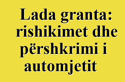 Lada granta: rishikimet dhe përshkrimi i automjetit