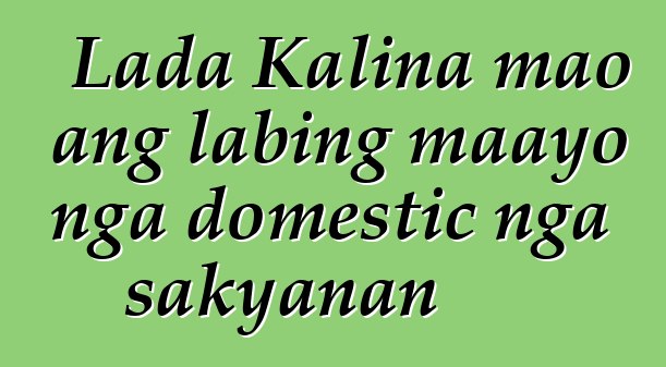 Lada Kalina mao ang labing maayo nga domestic nga sakyanan