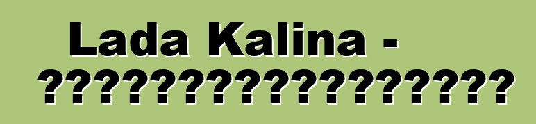 Lada Kalina - 一位尝试过俄罗斯技术奇迹的新手驾车者的评论