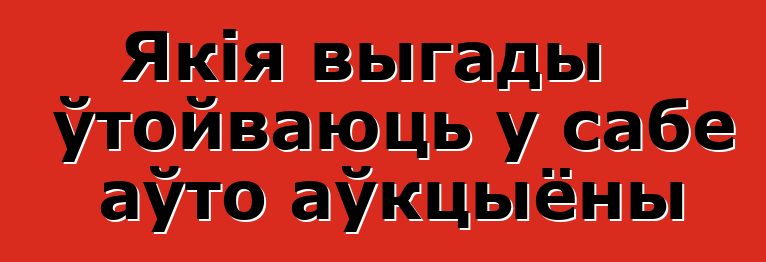 Якія выгады ўтойваюць у сабе аўто аўкцыёны