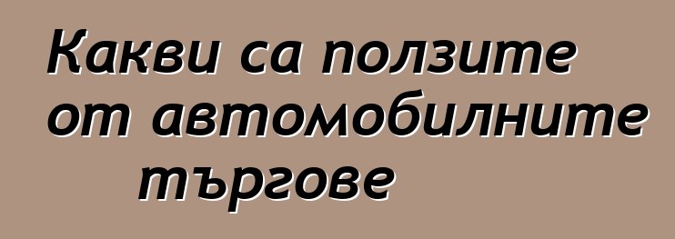 Какви са ползите от автомобилните търгове