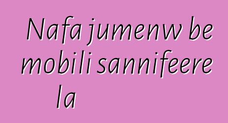 Nafa jumɛnw bɛ mobili sannifeere la