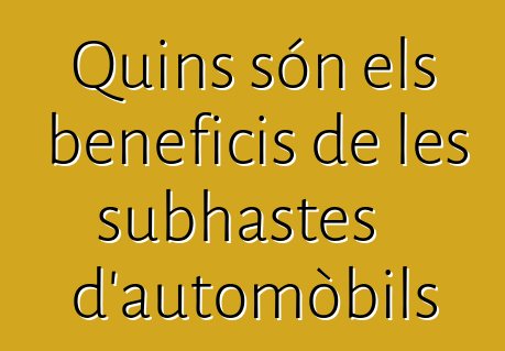Quins són els beneficis de les subhastes d'automòbils