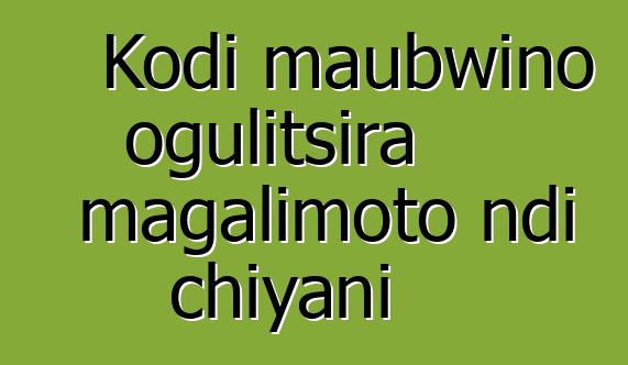 Kodi maubwino ogulitsira magalimoto ndi chiyani